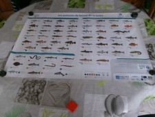 Affiche poissons bassin d'occasion  Mont-Saint-Aignan