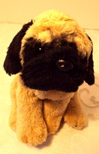 Nat jules pug for sale  Sicklerville