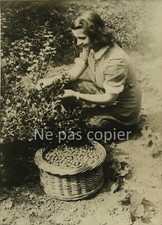 Germany 1944 redcurrant d'occasion  Expédié en Belgium