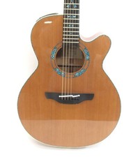 Takamine ltd2023 santa d'occasion  Expédié en Belgium
