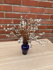 Stern strauß frische gebraucht kaufen  Wittstock/Dosse