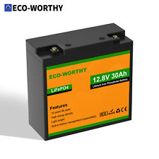 Eco worthy 12v for sale  UK