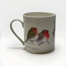 Winter robins fine for sale  OSWESTRY