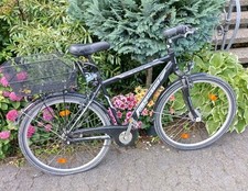 curtis fahrrad gebraucht kaufen  Hannover