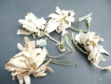 Ancien lot fleurs d'occasion  Tarbes