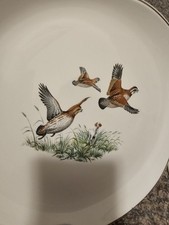 Plates salem ovenproof for sale  Salineville