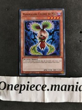 Mandragora colonie mal d'occasion Mandragora colonie mal d'occasion  Paris III