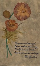 Fancy postcard theophile d'occasion  Expédié en Belgium