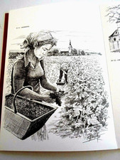 Roland irolla vignoble d'occasion  Nice-