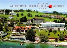 Cartão postal Weggis, Suíça ALEXANDER GERBI HOTELS Wellness Resort View 4X6 comprar usado  Enviando para Brazil