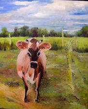 American cattle cow for sale  Gainesville