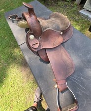 Dakota arabian horse for sale  Carbondale