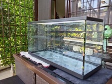 Acquario usato 80x40x30 usato  Roma