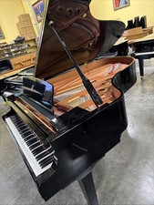 Yamaha 2010 silent for sale  USA