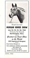 National morgan horse for sale  Palm Bay