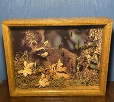 Vintage raccoon diorama for sale  Tower City
