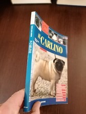 Cani razza carlino usato  Roma