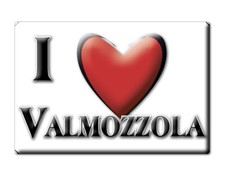 Calamita valmozzola emilia usato  Ragusa
