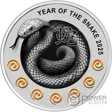 Anno del serpente usato Anno del serpente usato  Ciampino