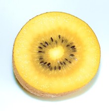 Actinidia deliciosa kiwi usato  Napoli