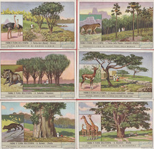 Figurine liebig serie usato Figurine liebig serie usato  Bologna