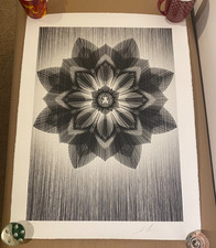 Read obey kai for sale  Baldwinsville