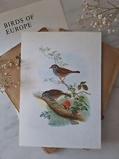 Dunnock vintage bird for sale  DERBY