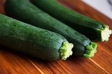 Courgette plug plants for sale  PRESTON