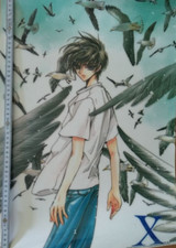 Anime manga poster gebraucht kaufen  Cremlingen