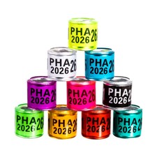 2026 multicolor 60pcs d'occasion  Expédié en Belgium