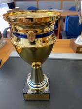 Pokal goldfarben 5 gebraucht kaufen  Bad Honnef