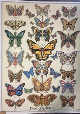 dead butterflies for sale dead butterflies for sale Nashville