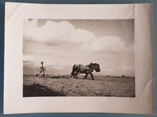 Foto landwirtschaft ackerarbei gebraucht kaufen  Berlin
