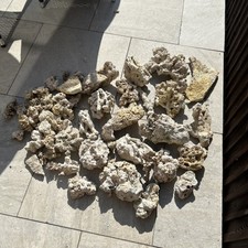 Live rock aquarium for sale  KETTERING