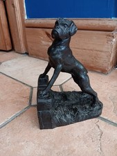 bronze boxer dog for sale bronze boxer dog for sale DUNMOW