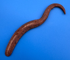 Antique horse hoof for sale  Sahuarita