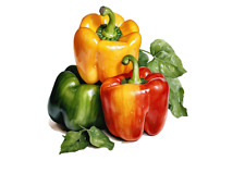 Paprika küchen aufkleber gebraucht kaufen  Heringen