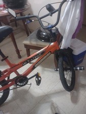 Bicicleta Schwinn Raider 20 polegadas, usado comprar usado  Enviando para Brazil