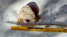 Kuscheltier schnecke gebraucht kaufen  Hamburg