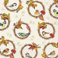 Servietten kleine vögel gebraucht kaufen  Frankfurt am Main
