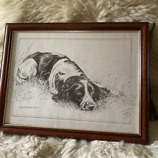 Springer spaniel framed for sale  BRIDGEND