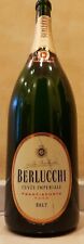 Bottiglia vuota champagne usato  Napoli