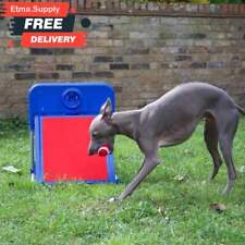 Dog flyball training for sale  NEWPORT