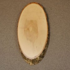 Birke rothirsch af35cm gebraucht kaufen  Nagel