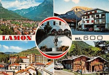 Cartolina lamon vedute usato  Milano
