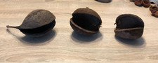 Buddhanuss 3er set gebraucht kaufen  Lauchringen