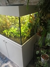 aquarium kombination gebraucht kaufen aquarium kombination gebraucht kaufen Biebesheim