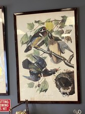 Audubon wood duck for sale  Sag Harbor