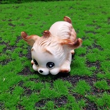 Pekingese brinns bone for sale  DARTFORD