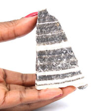 Zebra jasper rock d'occasion  Expédié en Belgium